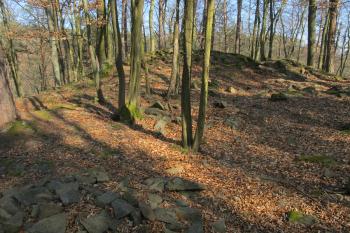 Vnitřní nádvoří (© Dušan Dohňanský 03/2020)