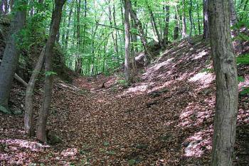 Příkop ( © Roman Řezáč 05/2003)