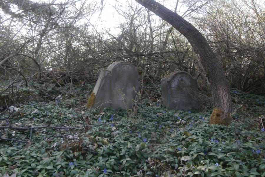 židovský hřbitov
