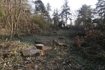  (© Prudký Martin, 04/2014)