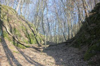 Třetí hradní  příkop (© Luděk Vláčil 01/2016)
