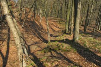 2ý šíjový příkop přecházející v příkop s valem chránící hrad na jv.straně (© Dušan Dohňanský 03/2020)