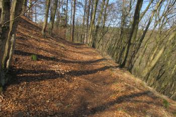 Přihrádek pod východní plášťovou zdí zabezpečující přístup do sev. předhradí (© Dušan Dohňanský 03/2020)