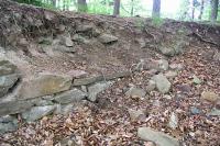 Stagnov