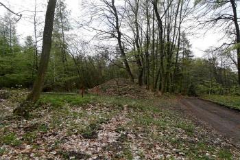 Val lemující současnou lesní cestu (© Prudký Martin, 04/2014)