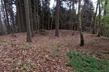 Pískovcový suk na severovýchodě ostrožny (© Prudký Martin, 04/2014)