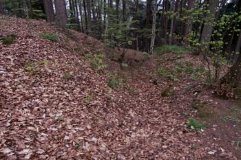 Úzká stezka vytesaná do skály na severním úbočí (© Prudký Martin, 04/2014)