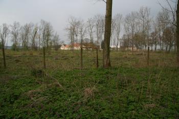  ( © Petr Nožička 04/2014)