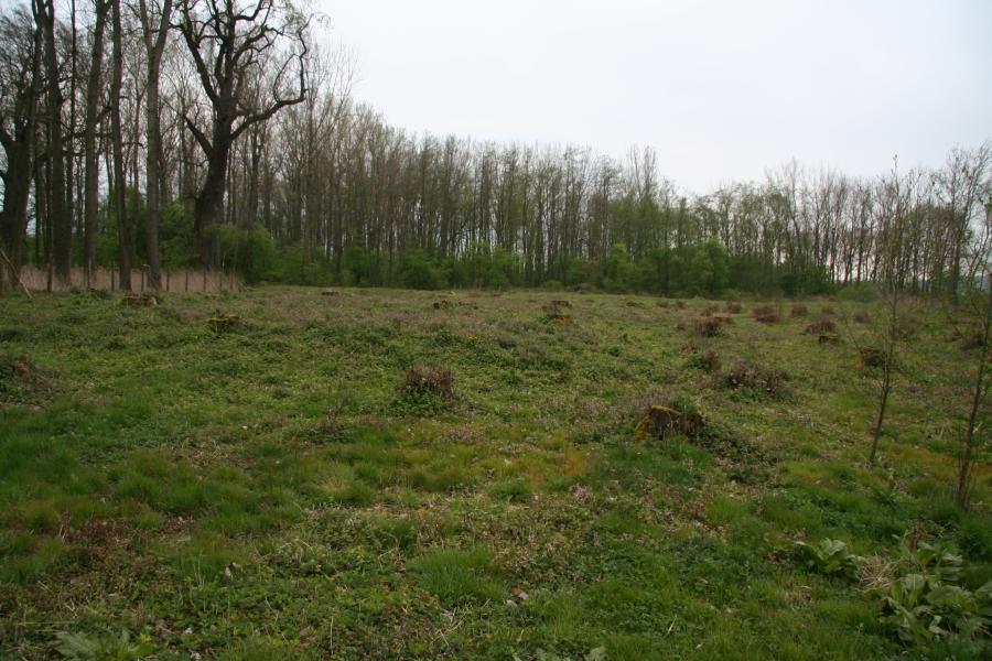 Vranov