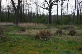 Příkop oddělující tvrziště (© Petr Nožička 04/2014)