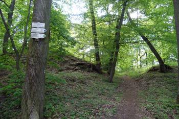 Z hradu Bukovina, 10. května 2008 (© Jan Klapetek, 05/2008)