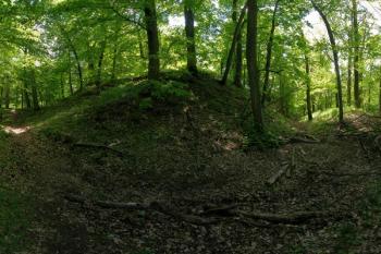 Z hradu Bukovina, 10. května 2008 (© Jan Klapetek, 05/2008)