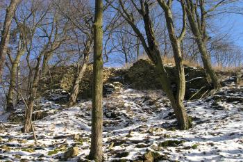 Bukovina - zřícenina (© daniel rubeš, 3/2005)