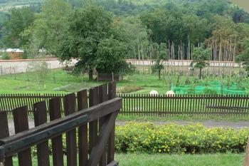 pohled brankou do klášterní zahrady nad řekou (© de.ardoise, 08/2010)