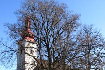 Kostel sv. Bartoloměje v Solopyskách ( © Pavel Vítek 02/2014)