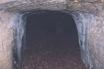 Vchod do skalní světničky (sklepa) (© Petr Šantrůček 05/2004)