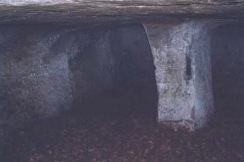 Vnitřek světničky (sklepa) (© Petr Šantrůček 05/2004)