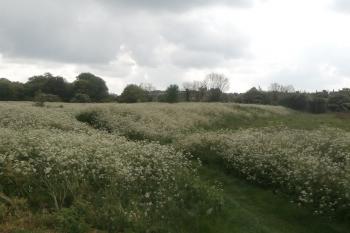 Val na západní straně. (© Prudký Martin, 05/2014)