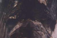 Kestřany - horní tvrz