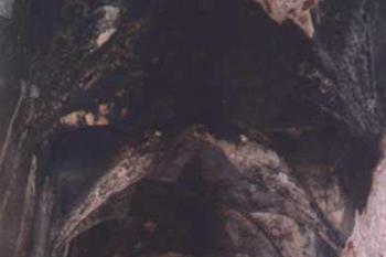 Kaple v horní tvrzi (2002 © Šemík)