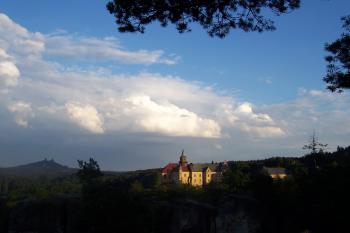  (© Michal Schuster, 07/2008)