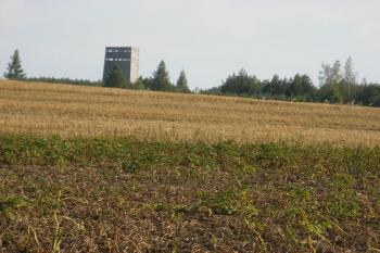 Rozhledna Břasy od severu (© Jiří Špaček, 08/2015)