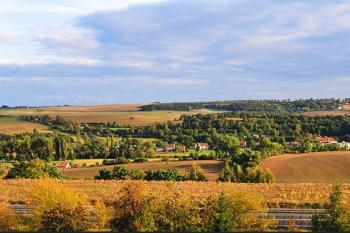  ( © OS Drnov)