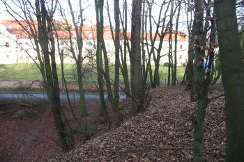 reliéfní zbytky hradu (© D Dohňanský,02/2014)