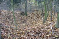 Horní Hrádek