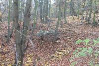 Horní Hrádek