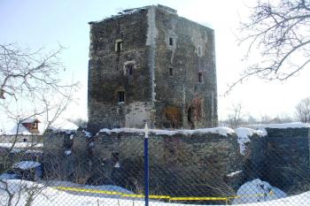 Tvrz Hradenín (© Pavel Jarý, 02/2010)