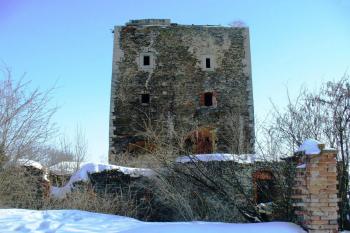 Tvrz Hradenín (© Pavel Jarý, 02/2010)