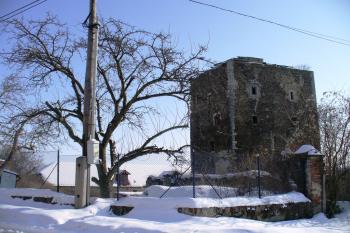 Tvrz Hradenín (© Pavel Jarý, 02/2010)