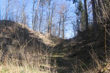 Mohutný příkop na východní přístupové cestě k hrádku od jihu (© Jaroslav Špiroch 04/2020)