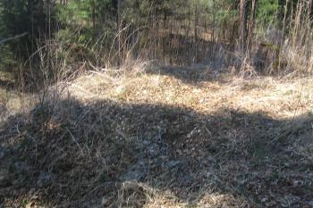 Čtvercový vyvýšený objekt v jihovýchodní čelní části hrádku (obranná věž). (© Jaroslav Špiroch 04/2020)