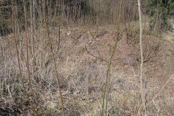 Příkop na druhé, západní straně s krátkým valem na vnější straně (© Jaroslav Špiroch 04/2020)