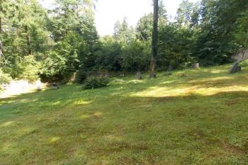  ( © Milan Caha 07/2014)