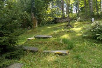  ( © Milan Caha 07/2014)