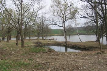 pohled na tvrziště od kostela sv. Martina (© Jaroslav Špiroch, 05/2018)