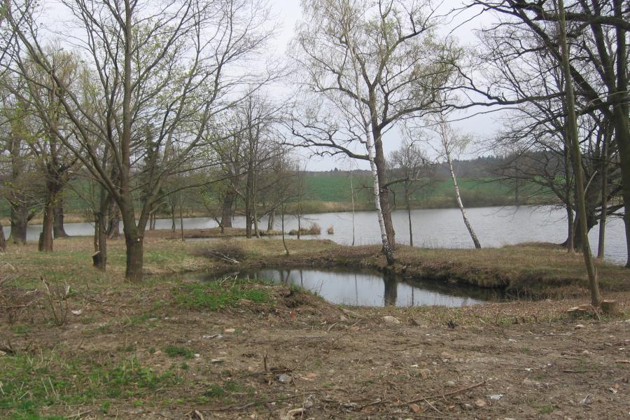 Žimutice