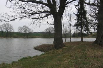 východní násep, nejlépe dochovaná část tvrziště, již vyčištěný od náletů (© Jaroslav Špiroch, 05/2018)