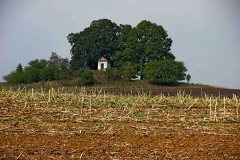 Kaple sv. Marka a sv. Jana Nepomuckého u Brniště (© Pavel Vítek 09/2014)