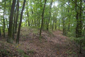 Hradiště Budkovice (© Daniel Pawlik, 10/2014)