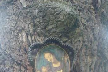 Krásný dvůr (2003 ©Hana Kubikova)