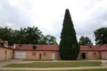 Hospodářská část západního křídla (© Ivan Grisa, 07/2008)