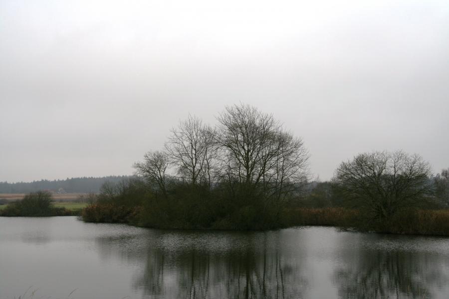 Chvalešovice
