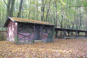 Kuželník (© Helena Dvořáková, 10/2010)