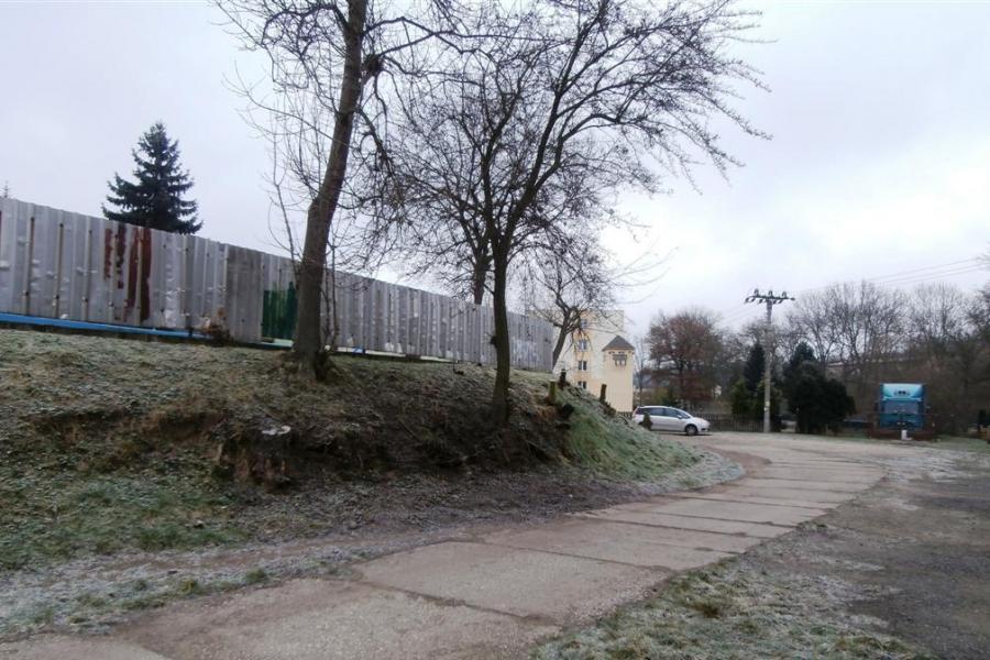 Žiželice