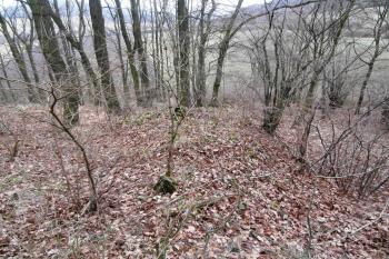 Podlouhlá hromada kameniva na severozápadním úbočí kopce. (© Prudký Martin, 01/2015)