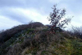 Vrchol kopce. (© Prudký Martin, 01/2015)